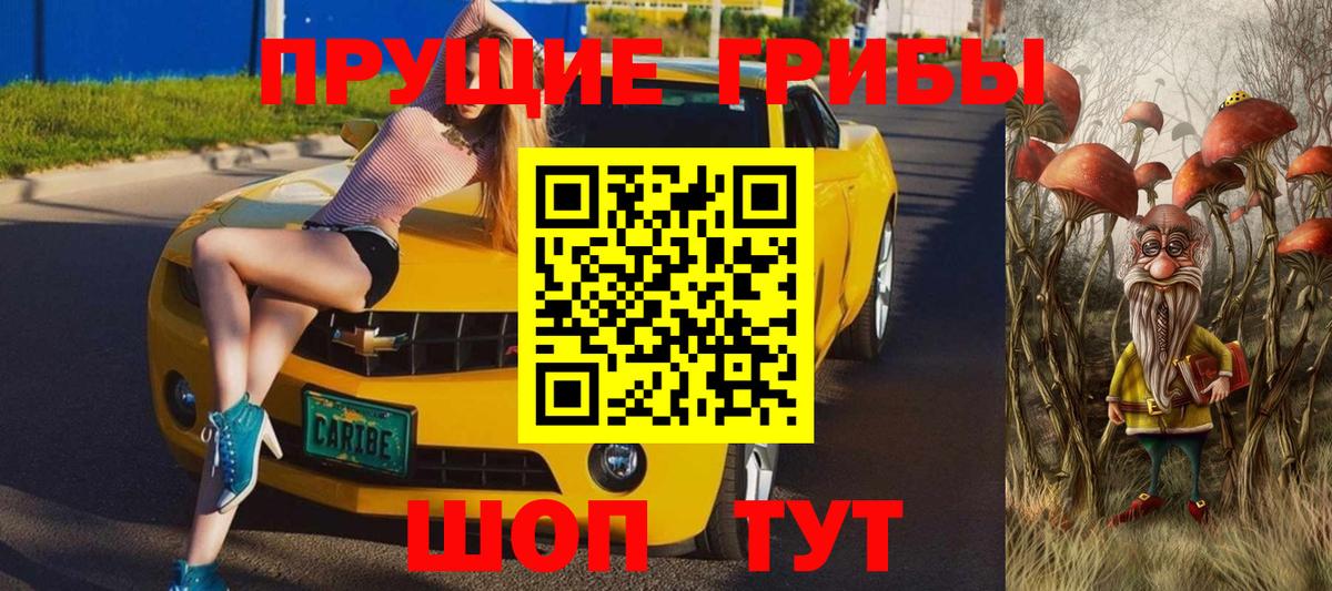 Псилоцибиновые грибы Cubensis  Вход с VPN  Сарапул 